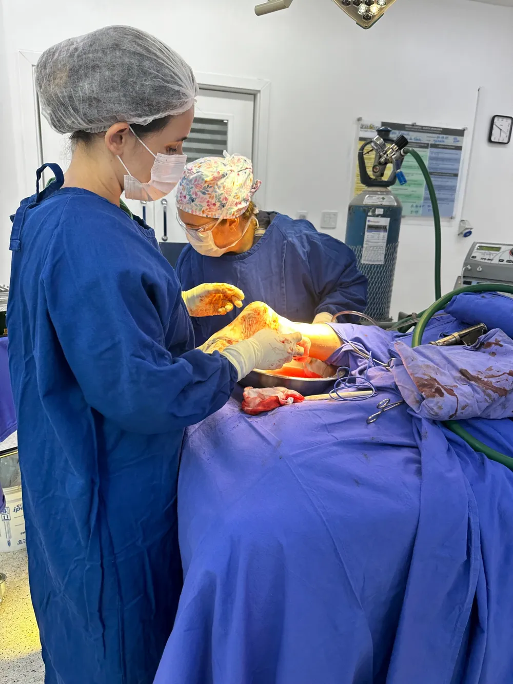 Procedimento cirúrgico ortopédico 2